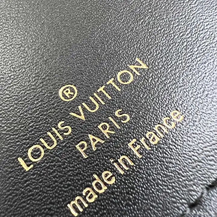 Official Brother Sam LV 2407YZ0147 Bags 0727